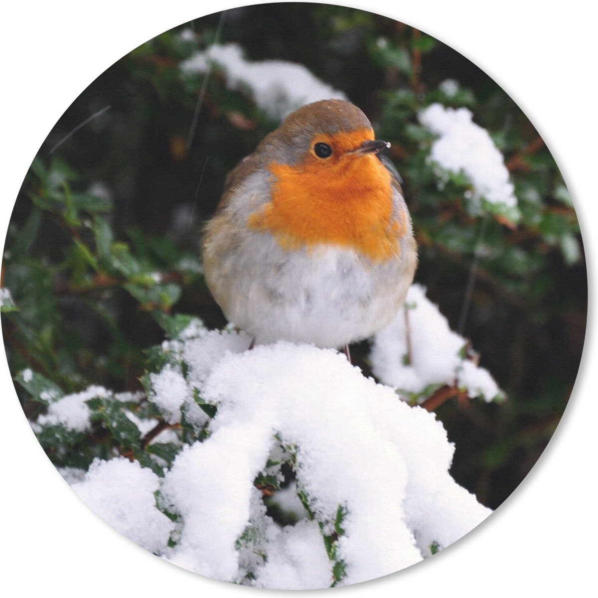 Muismat rond 40x40 cm - Mousepad Roodborstje - Boom - Sneeuw - Ronde muismatten