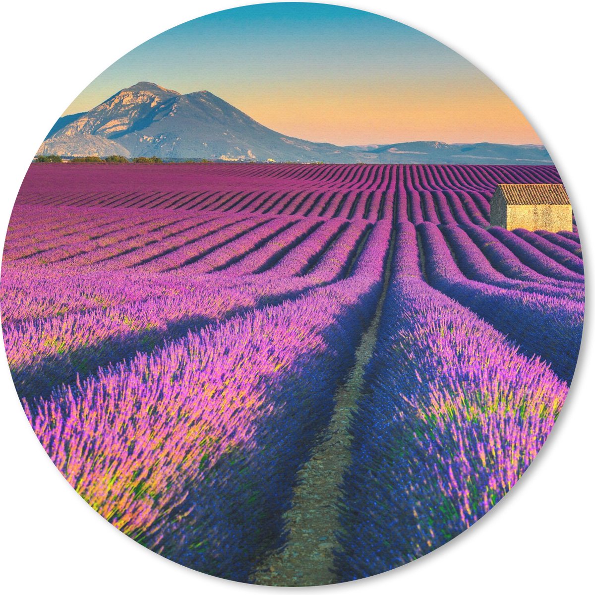 Muismat rond 50x50 cm - Mousepad Lavendel - Berg - Bloemen - Ronde muismatten
