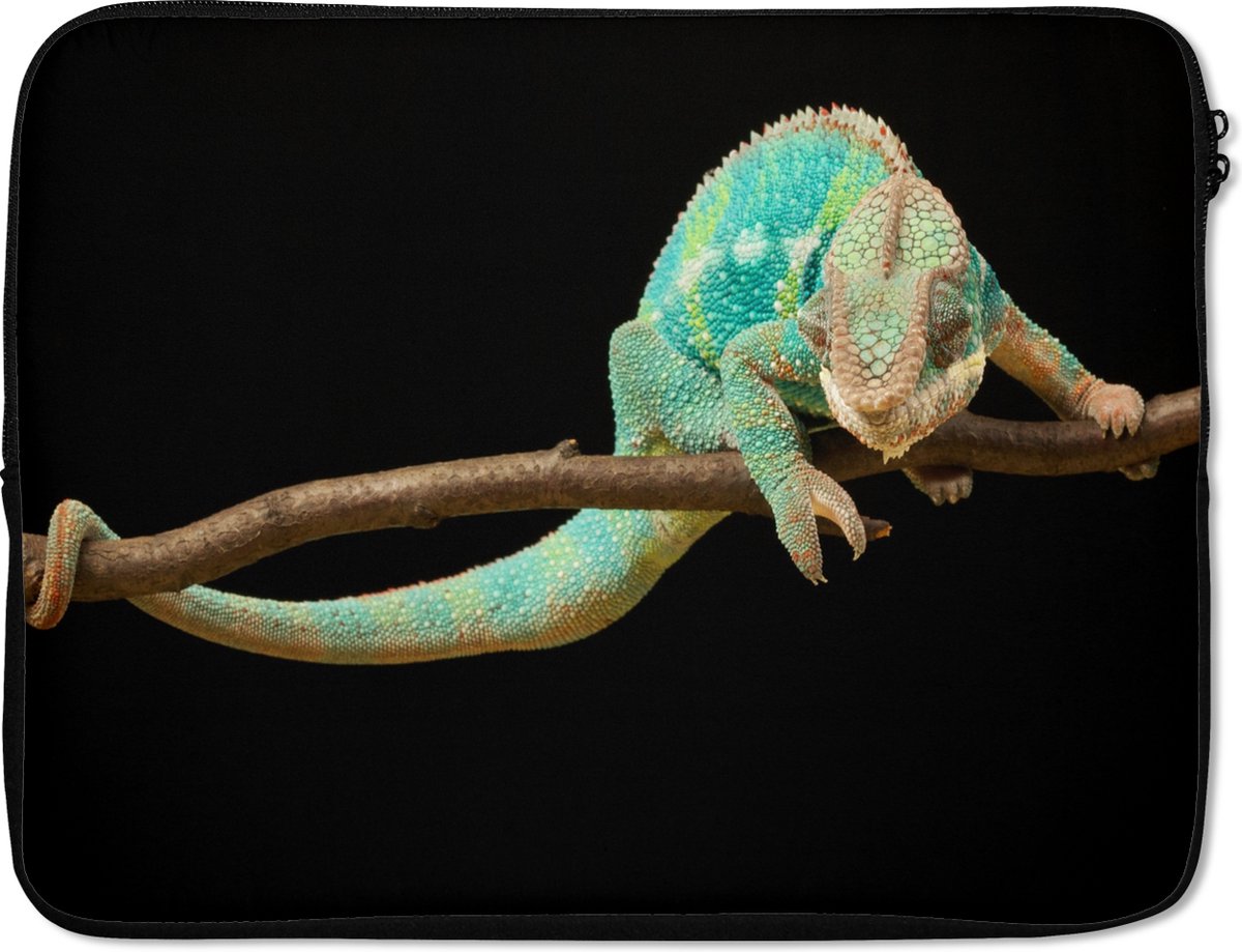 Laptophoes 15.6 inch - Kameleon - Tak - Pastel - Laptop sleeve - Binnenmaat 37x26 cm - Zwarte achterkant