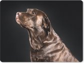 Muismat - Mousepad - Hond - Bruin - Portret - 23x19 cm - Muismatten