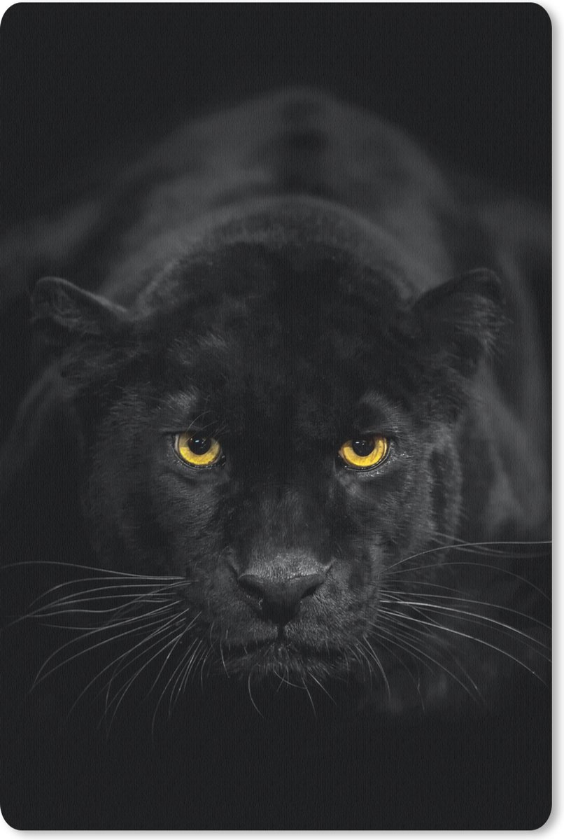 Muismat 18x27 cm - Mousepad Panter - Dieren - Zwart - Ogen - Muismatten