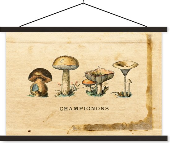 Porte-affiche avec affiche - Affiche scolaire - Champignon - Automne - Nature - 150x100 cm - Lattes noires