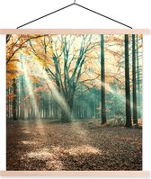 Posterhanger incl. Poster 120x120 cm - Schoolplaat - Herfstbos in Nederland - Textielposter - Blanke latten
