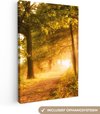 Groel, Jaune, Forêt
