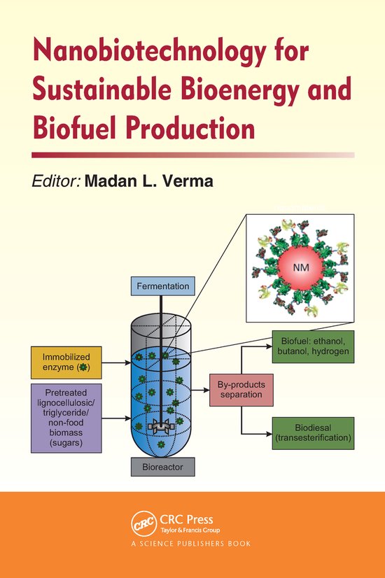 Nanobiotechnology for Sustainable Bioenergy and Biofuel Prod ... - cover