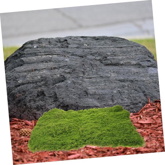 20g Kunstmatige Mos Gras Groene Plant Micro Landschap Decor Fairy Garden Nep Mos Gras Muur Diy Accessoires (Color : B14