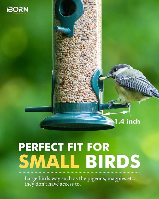 MIXXIDEA Metalen Buis Vogelvoeder voor Buiten - Hangend, 6 Poorten, Trekt Wilde Vogels Aan in Je Gazon, Tuin, Balkon (Groen MIXXIDEA Metalen Buis Vogelvoeder voor Buiten - Hangend, 6 Poorten, Trekt Wilde Vogels Aan in Je Gazon, Tuin, Balkon (Groen