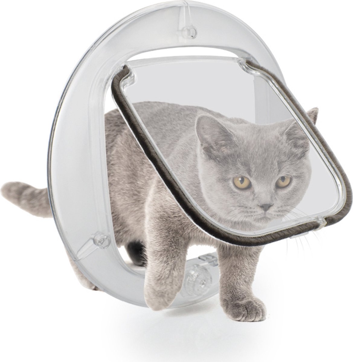 Kattenluik transparant