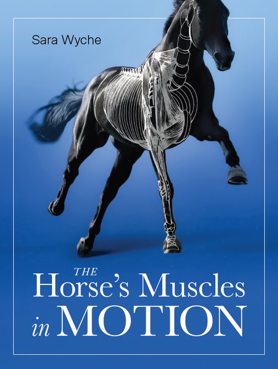 Horse's Muscles in Motion - cover