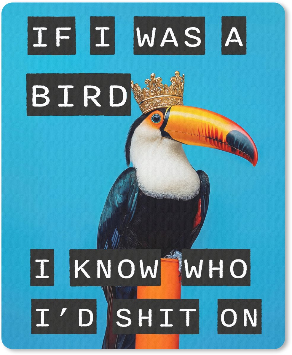 Muismat 19x23 cm - Mousepad Vogel - Toekan - Blauw - Quotes - Muismatten