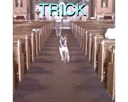 Trick