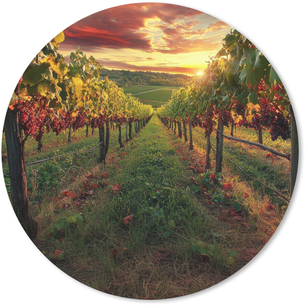 Muismat rond 30x30 cm - Mousepad Wijngaard - Druiven - Zonsondergang - Ronde muismatten