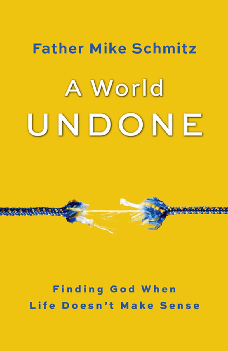World Undone van Fr Mike Schmitz
