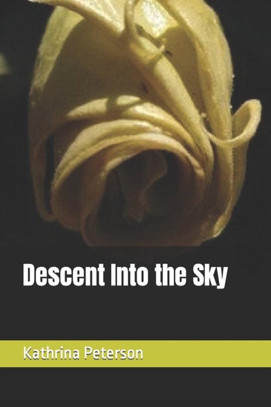 Descent Into the Sky - cover