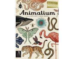 Animalium