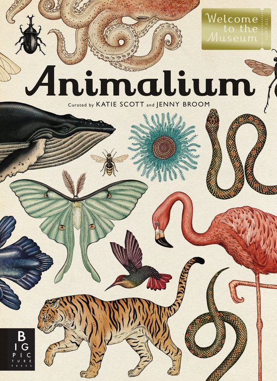 Animalium - cover