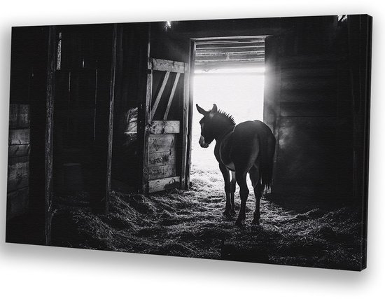 Peinture noir et blanc d'un âne dans une vieille étable remplie de paille, regardant vers la porte ouverte de l'étable.