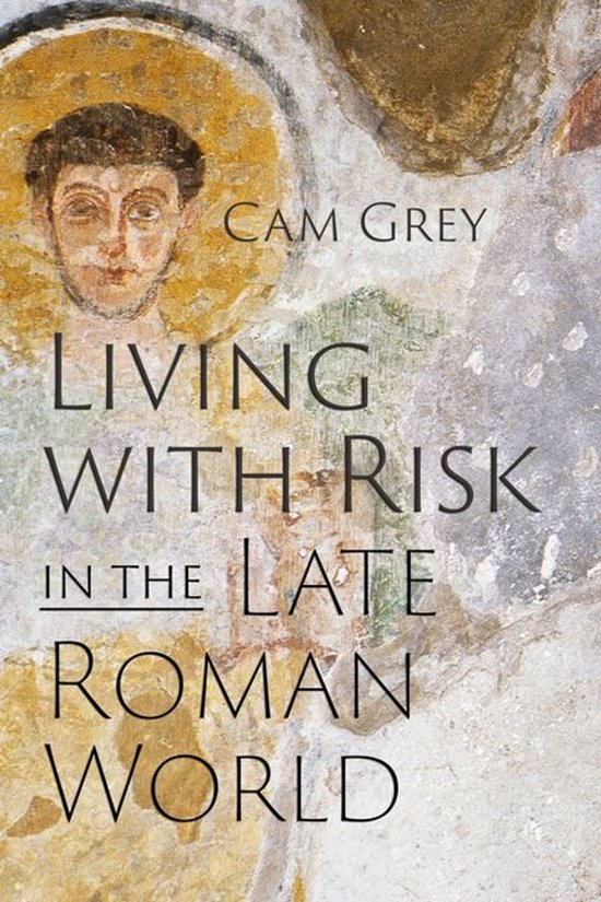 Critical Studies in Risk and Disaster - Living with Risk in  ... - cover