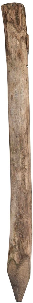 Bol.com Robinia Ronde Palen 160cm 12-14cm. aanbieding