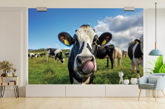 Behang - Fotobehang Koe - Tong - Weide - Breedte 330 cm x hoogte 220 cm