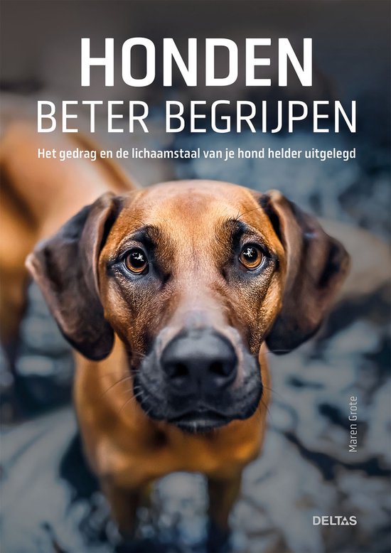 Honden beter begrijpen - cover