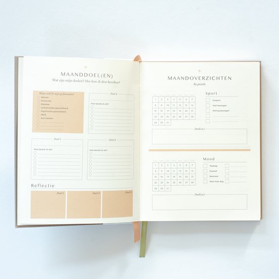 Open planner met secties voor maanddoelen, reflectie en maandoverzichten voor sport en stemming.