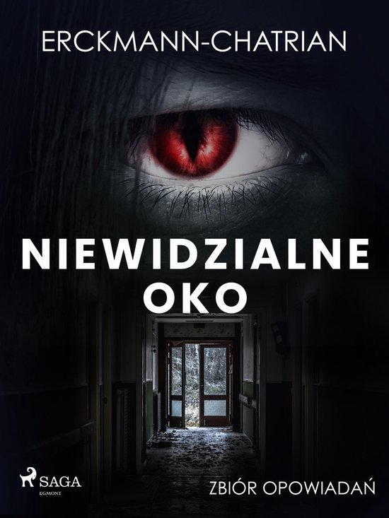 Niewidzialne oko. Zbiór opowiadań - cover