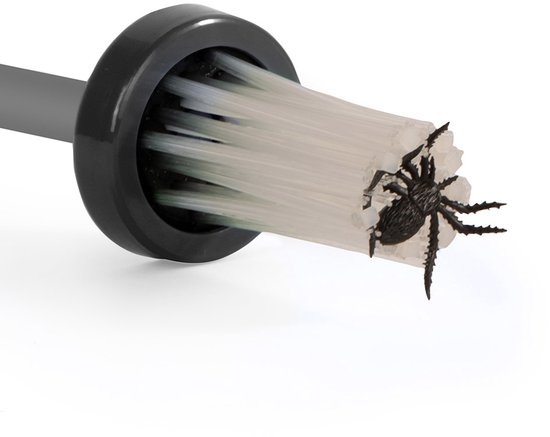 Close-up van een spinnenvanger met zwarte plastic spin op witte borstelharen.