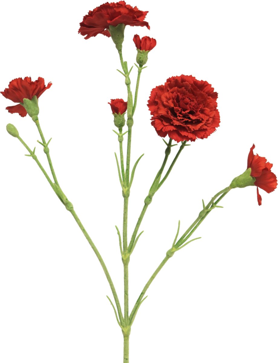 Nova nature - (Best) Dianthus Charly red 62 cm kunstbloem
