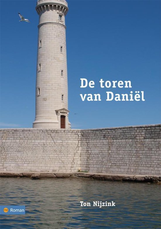 Cover van het boek 'De toren van Daniël'