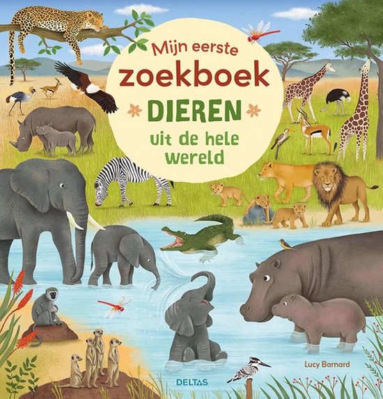 Pardo Verzamelalbum Voor Bankbiljetten – Bordeaux, Inclusief Beschermhoes, 270 X 245 X 50 Mm