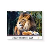 Huurdies - Leeuwen Kalender - Jaarkalender 2024 - 35x24 - 300gms