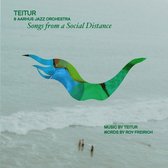 Teitur & Aarhus Jazz Orchestra - Songs From A Social Distance (LP)
