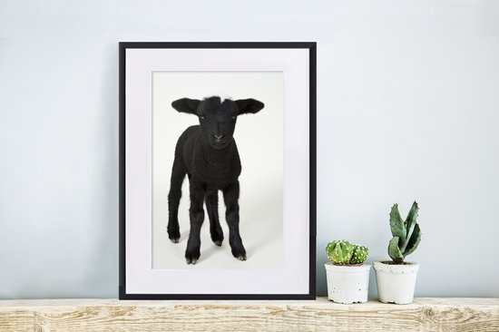 Photo en cadre - Bel agneau noir sur fond blanc Cadre photo noir avec passe-partout blanc petit 30x40 cm - Affiche sous cadre (Décoration murale salon / chambre)