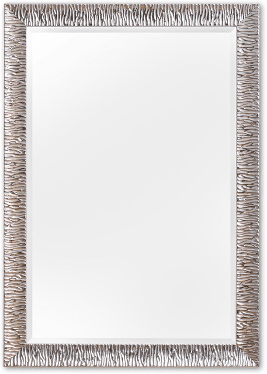 Miroir Moderne 100x130 cm Argent - Reese
