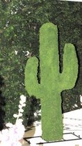 Cactus - Mos