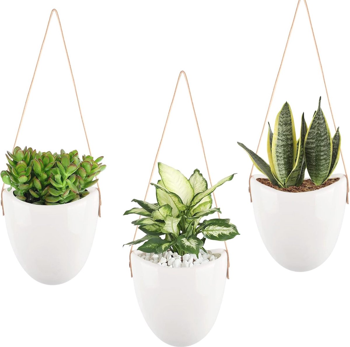 Hangende muurplantenbakken voor vetplanten - set van 3 keramische muurdecoraties