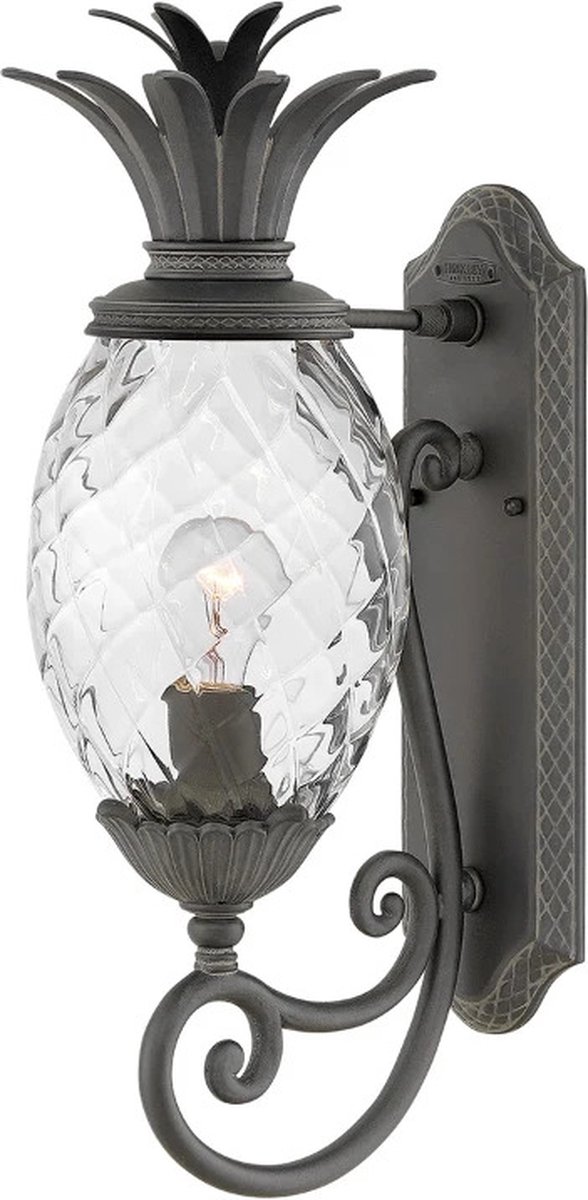 Hinkley LED Wand Buitenlamp Plantation | 1X E27 Max 40W | IP44 | Dimbaar | Museum Black