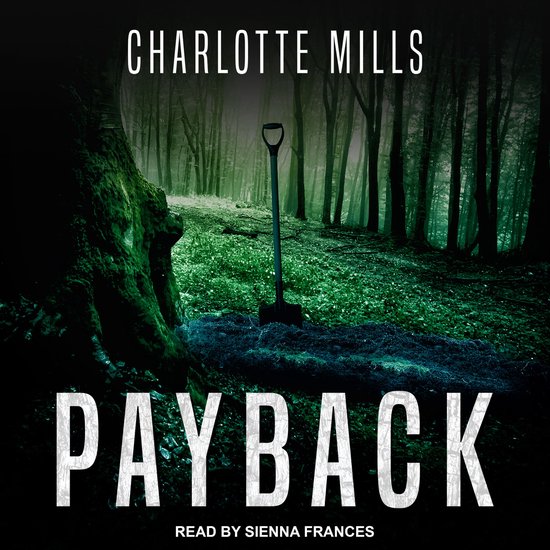 Payback - cover