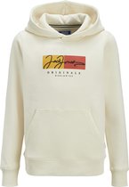 JACK&JONES - JORFREDERIKSBERG BOX SCI SW.H SN UNB JNR - Jongens - Sweaters