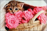 Kangaro bureau onderlegger - 38x58cm - Kitten - antislip - met insteekvakken - K-0014D118