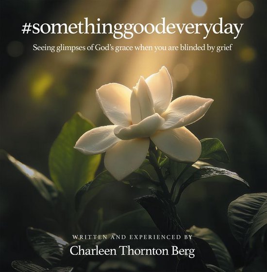 #somethinggoodeveryday - cover