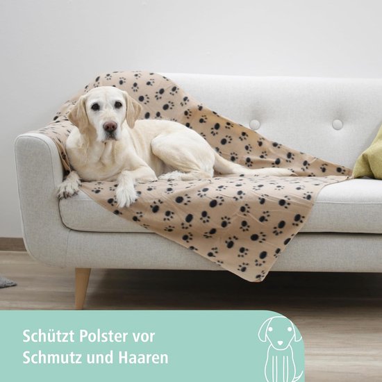 3st Voerstrips voor Katten met 1st Bliklepel, Schattige Kattenstrook Knijplepel Multifunctioneel Dispenser voor Kattensnacks voor Natvoer Vloeibare Snack Puree Voedingsbenodigdheden