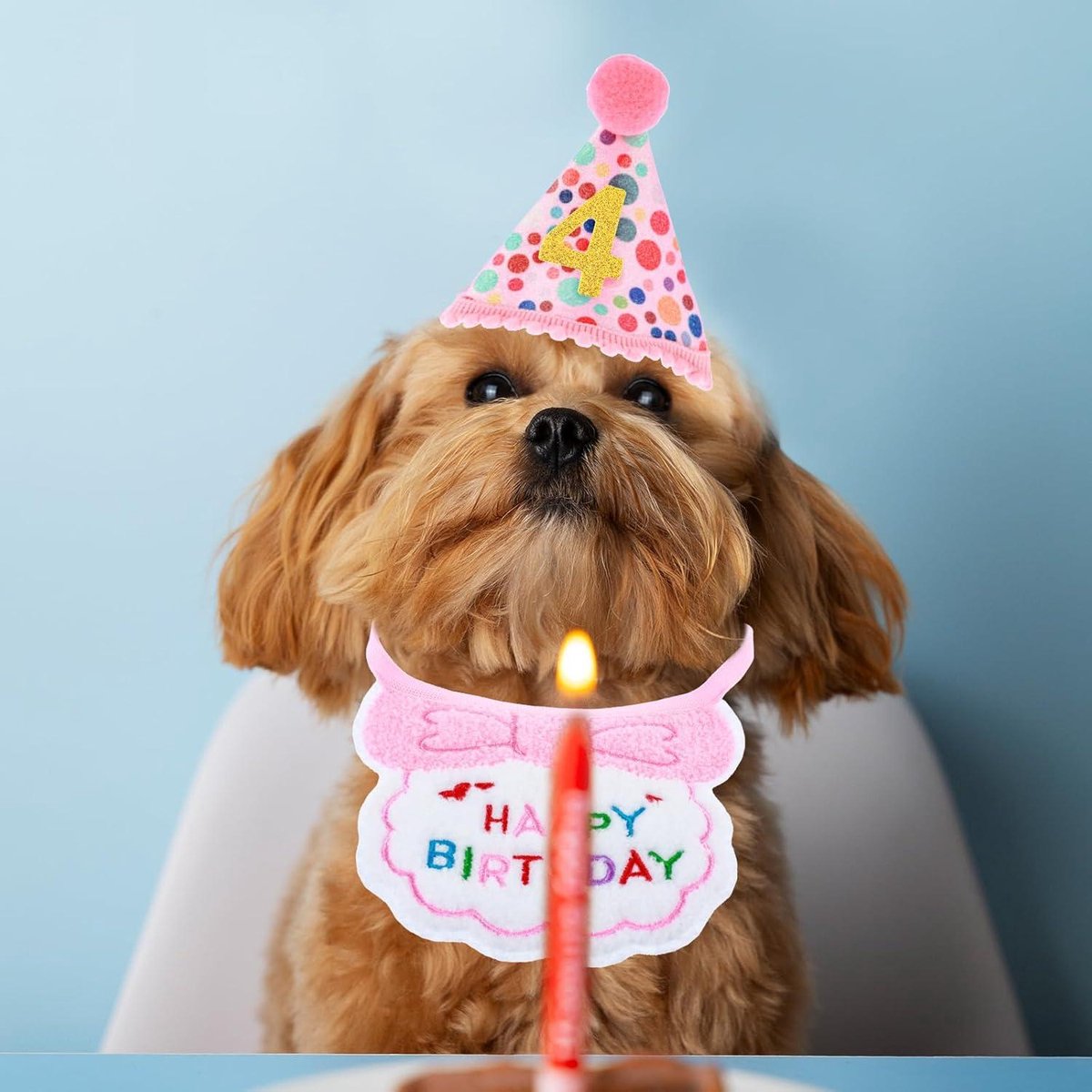 Verkleedset voor honden/katten voor een verjaardagsfeest, inclusief