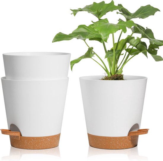 Phoenix Vine 52 A I 1, zelfbewaterende plantenbak, terracotta kleipot met glazen reservoir voor kamerplanten, kruiden, bloemen, set van 1, 25,5 cm