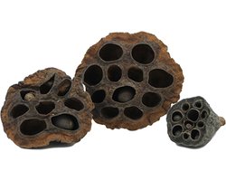 CeramicNature Lotus Pod XL 9|12cm botanische decoratie 9-12cm