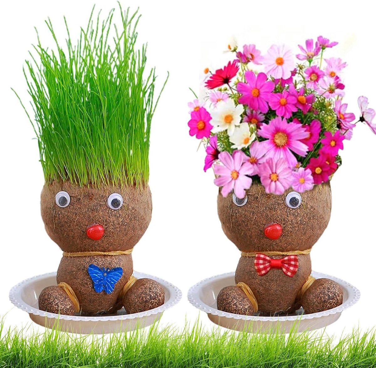Graskop Bloemkop - Mini Bonsai - Geschikt voor kinderen - 1 stuk - Groen - Natuurlijk