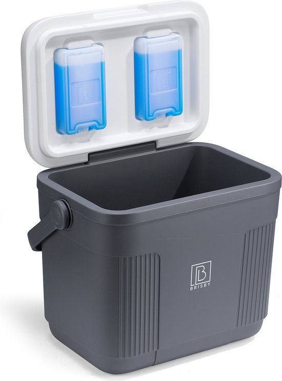 Grijze koelbox met open deksel met twee blauwe koelelementen.