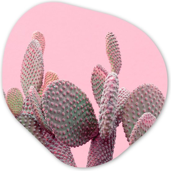 Organische Wanddecoratie - Kunststof Muurdecoratie- Organisch Schilderij - Cactus - Planten - Zomer- 60x60 cm - Organische spiegel vorm op kunststof