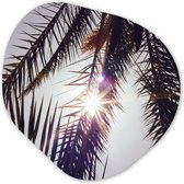 Organische Wanddecoratie - Kunststof Muurdecoratie- Organisch Schilderij - Palmbladeren - Zon - Zomer- 90x90 cm - Organische spiegel vorm op kunststof